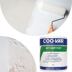 Coo-Var Anti-Damp Paint: The Ultimate Solution for Damp Walls