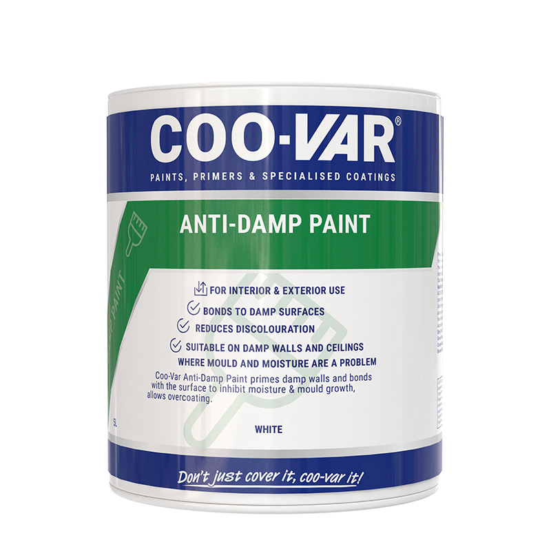 ANTI-DAMP PAINT 1L